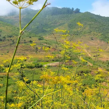 호텔 Rural La Hacienda 4*