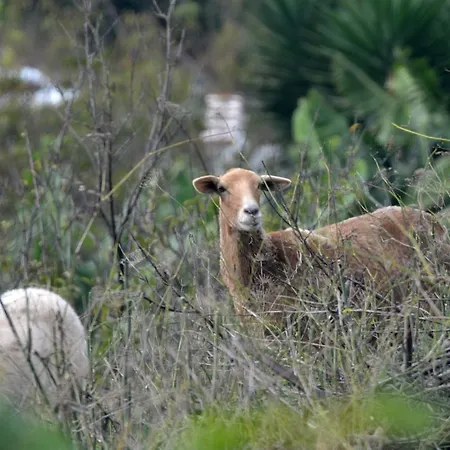 Rural La Hacienda 호텔 로스실로스