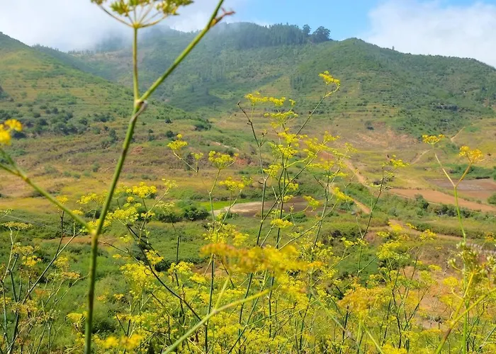 Отель Rural La Hacienda 4*